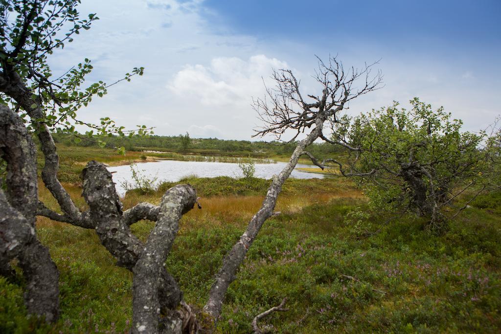 Fulufjaellsgarden Pansiyon Mörkret Dış mekan fotoğraf